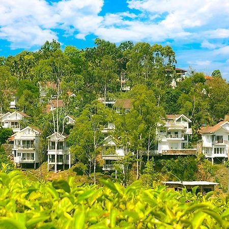 Dazzle Villa Resort Kalpetta Exterior photo